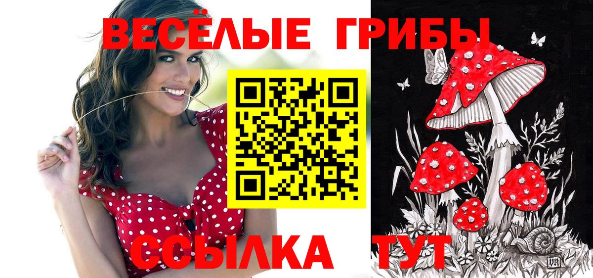 Псилоцибиновые грибы GOLDEN TEACHER Горно-Алтайск