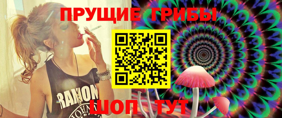 Галлюциногенные грибы MAGIC MUSHROOMS  Псилоцибиновые грибы прущие грибы  Горно-Алтайск  Вход с VPN 